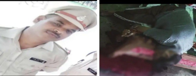 Generic placeholder image