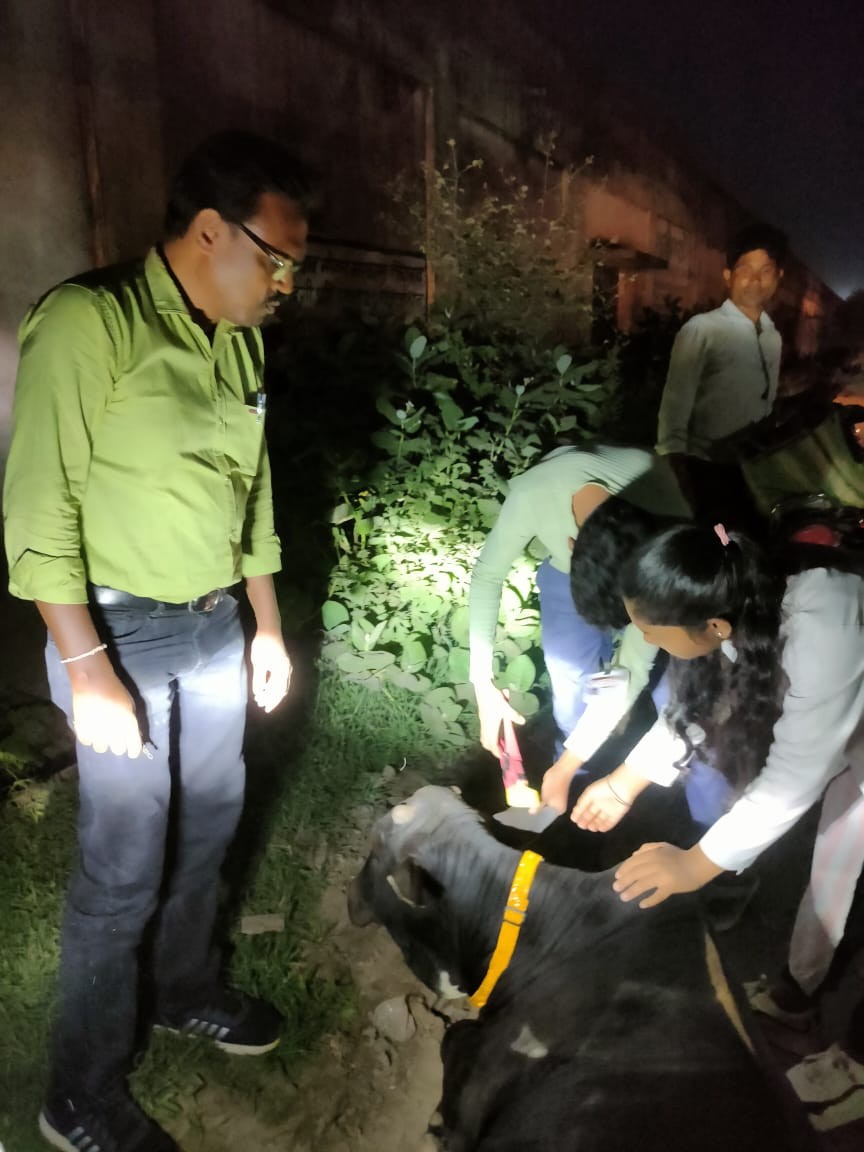 Generic placeholder image