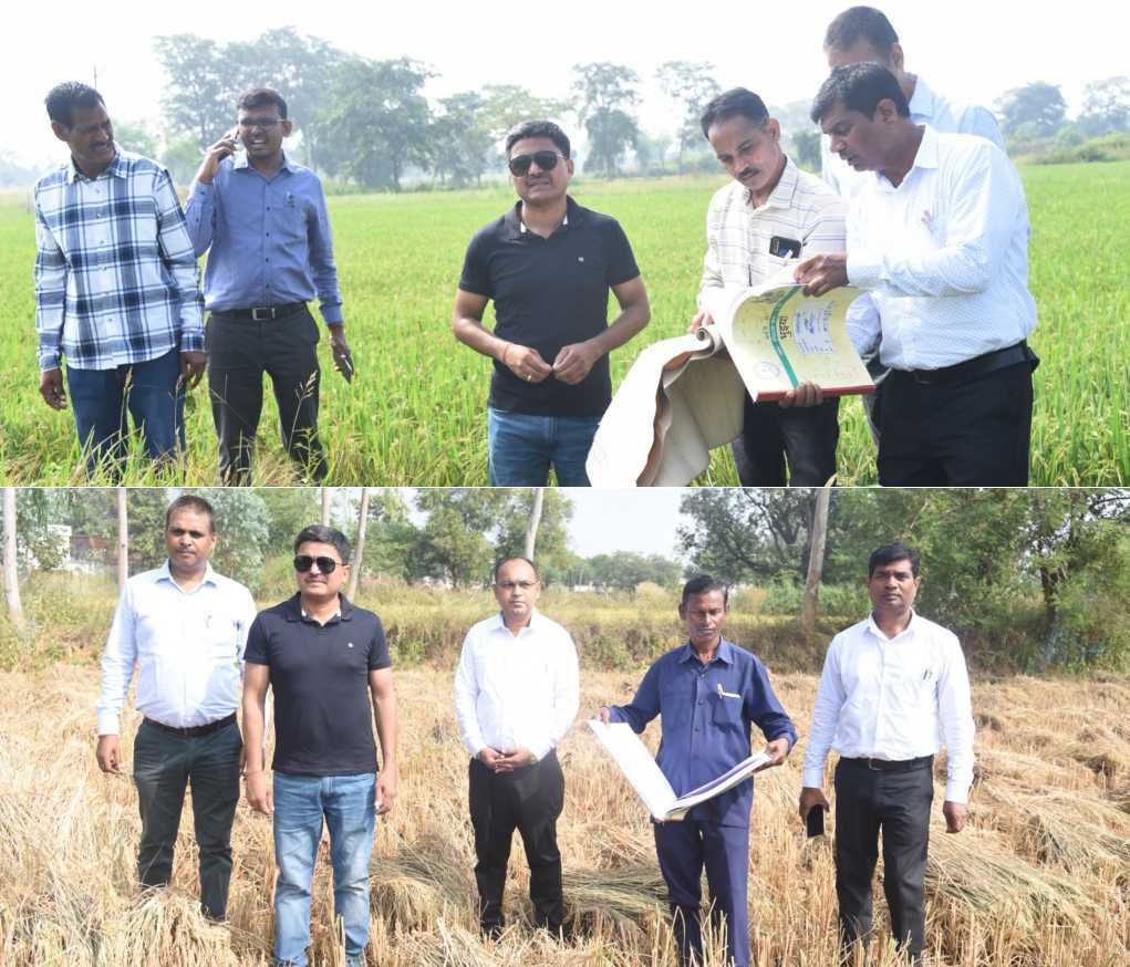 Generic placeholder image